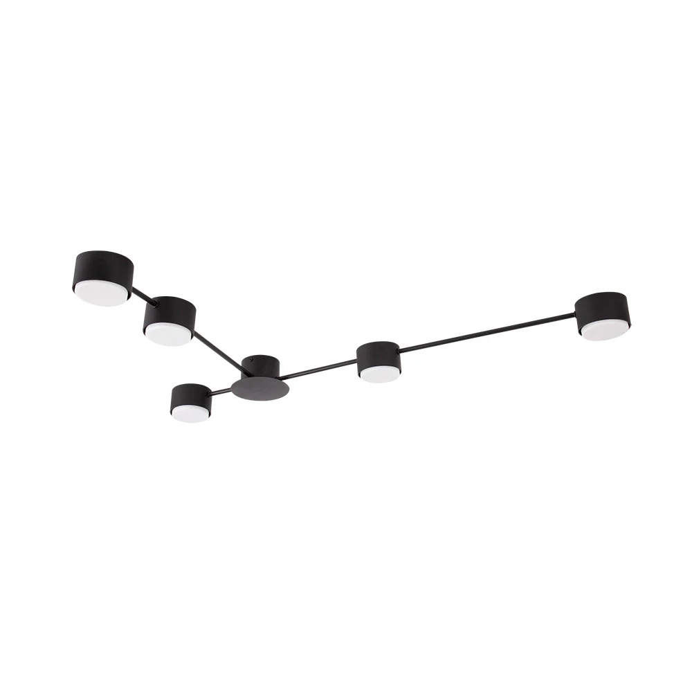 Потолочная люстра Arte Lamp TRACY A1527PL-5BK