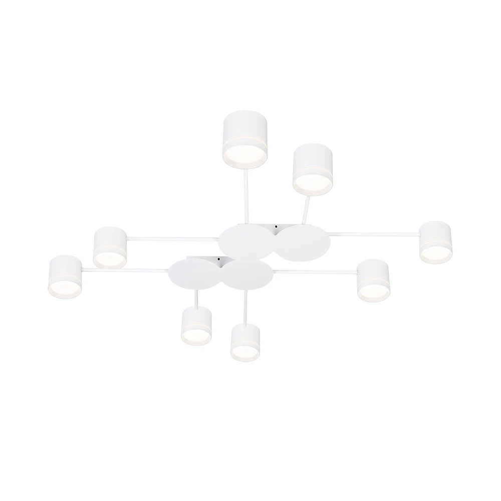 Потолочная люстра Arte Lamp LEGACY A8024PL-8WH